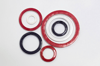 row-gasket